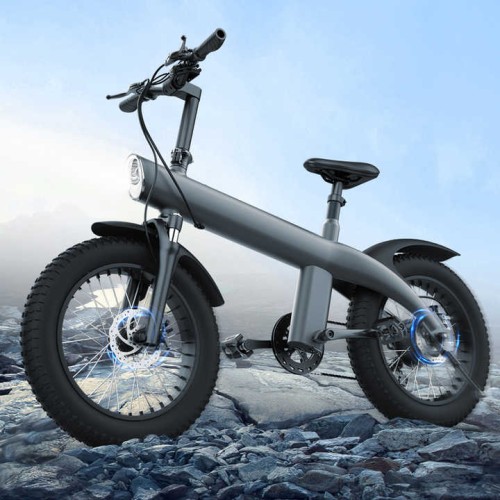 20‘’ Fat Tire 48V 13Ah Battery 750W All Terrain Off Road Electric Bike Folding Electric Mountain Bike