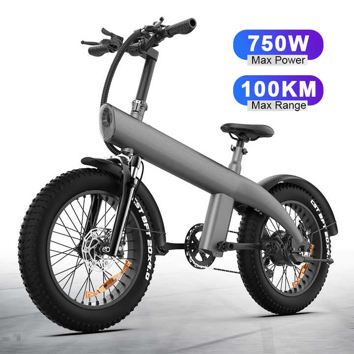 20‘’ Fat Tire 48V 13Ah Battery 750W All Terrain Off Road Electric Bike Folding Electric Mountain Bike