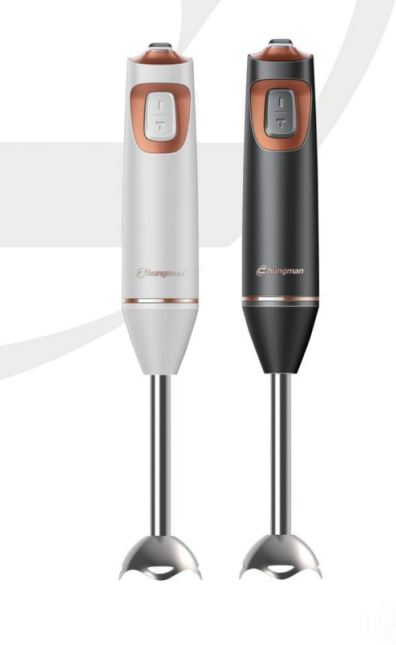 Hand Blender 2 Speed,Turbo Function,Stainless Steel